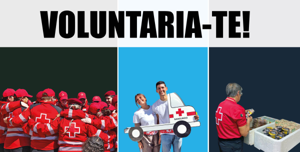 Voluntariado