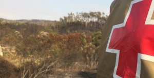 Operação Incêndio Pedrógão Grande e a CVP-VNG
