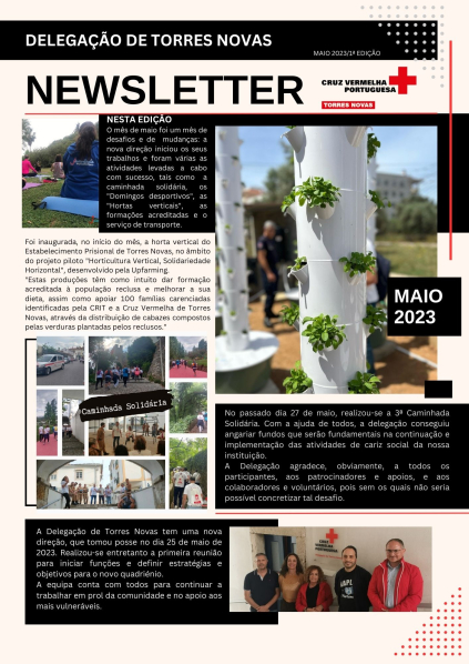 Newsletter - 1ª edição
