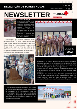 Newsletter - 2ª edição