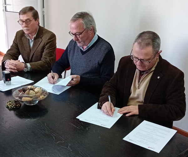 Protocolo de colaboração com a NovaVisão Óptica